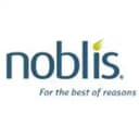 Noblis Logo
