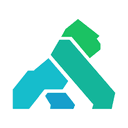 KONG Logo