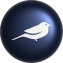 Robin AI Logo