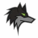 Dark Wolf Solutions Logo